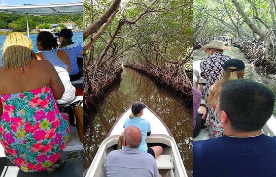 Roatan Mangrove Tunnel Culture Tour on a Water Taxi Tuk-Tuk