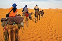Camel Trekking In Abu Dhabi with Transfer, Fun and More 5