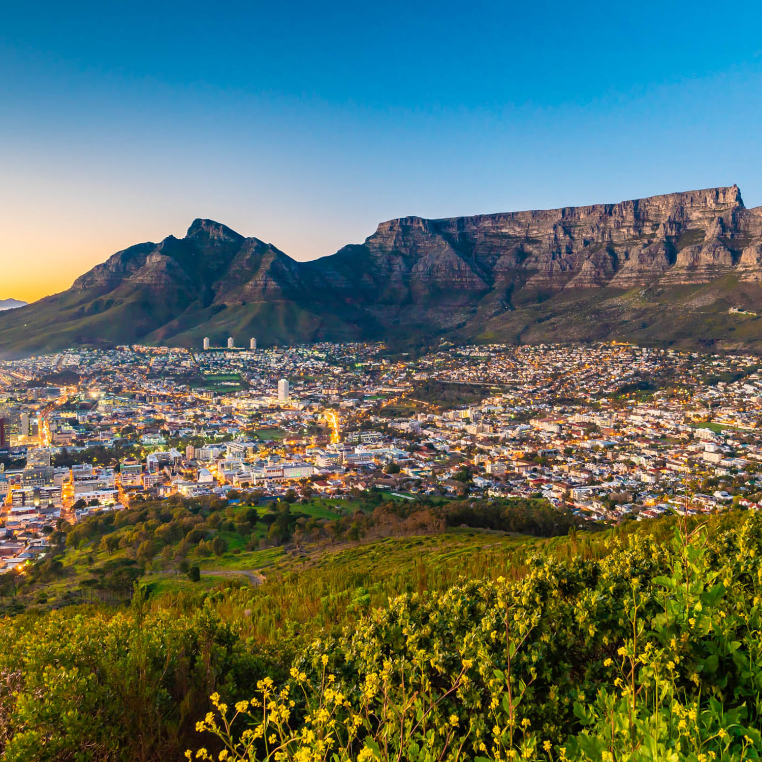 Private Day Tour to Cape Point , Penguins, Wine or Beer Tasting