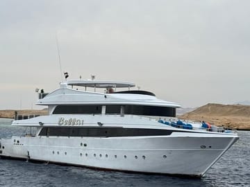 Mahmya Island Snorkeling Day Trip from Hurghada