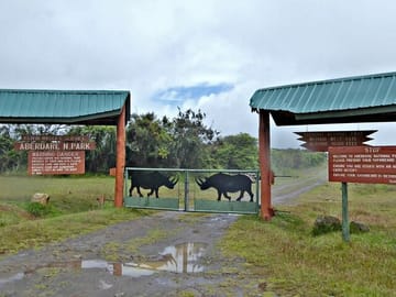 Overnight Safari To Aberdare National Park From Nairobi