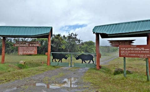 Overnight Safari To Aberdare National Park From Nairobi