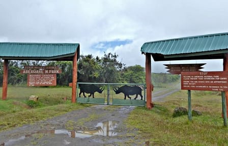 Overnight Safari To Aberdare National Park From Nairobi