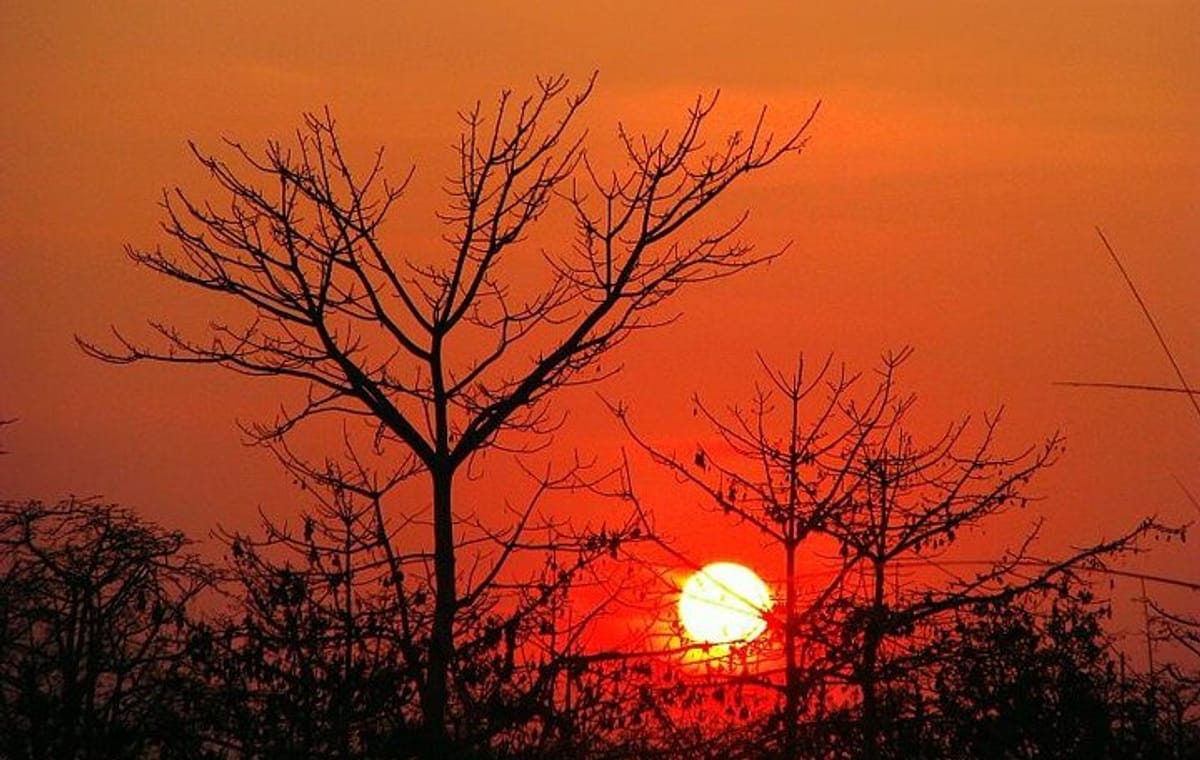 3-Days Chitwan National Park Tour from Kathmandu by private vehicle