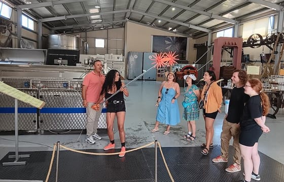 Private Half Day: Olive Oil, Krasi Village & Lasithi Plateau Tour