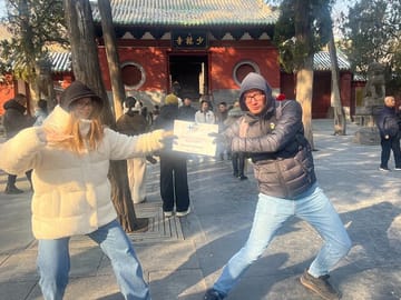 Louyang Longmen Grottoes and Shaolin Temple Day Tour from Xian
