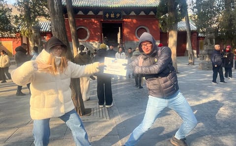 Luoyang Longmen Grottoes and Shaolin Temple Day Tour from Xi'an