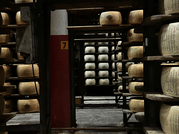 Parmesan Cheese Tour & Tasting in Modena 4