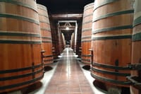 Full day private tour Isla negra poetry and wine from Santiago 9