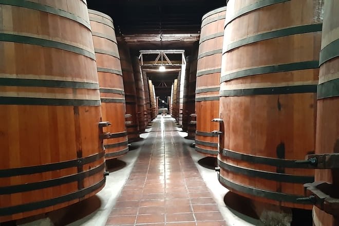 Full day private tour Isla negra poetry and wine from Santiago 9