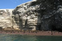 Ballestas Islands Sigthseeing Tour 3