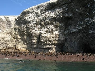 Ballestas Islands Wildlife Boat Tour from Paracas