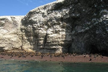 Ballestas Islands Wildlife Boat Tour from Paracas