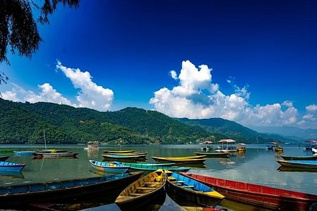 Captivating Pokhara & Chitwan Jungle Adventure from Kathmandu