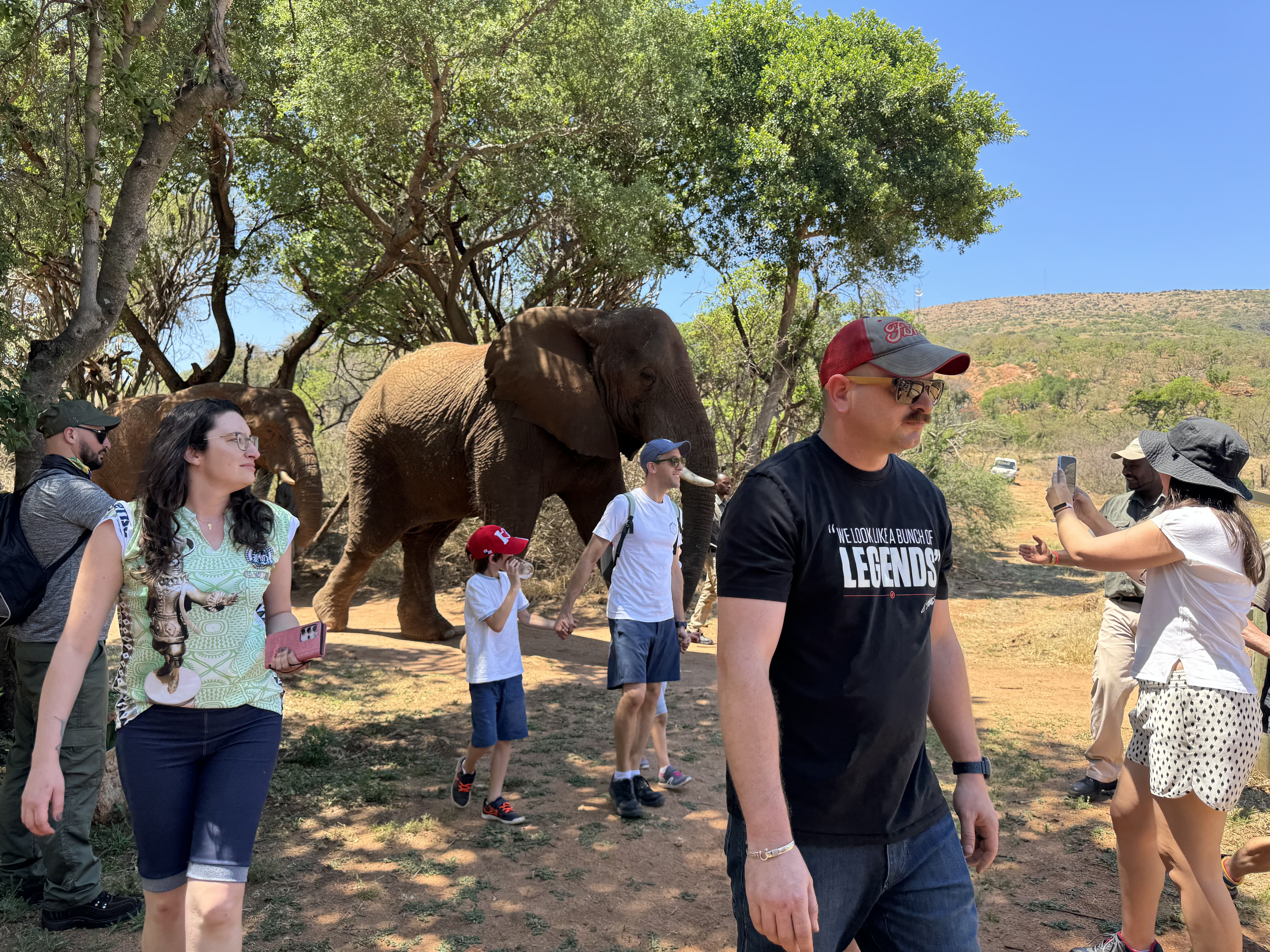 Elephant sanctuary tour