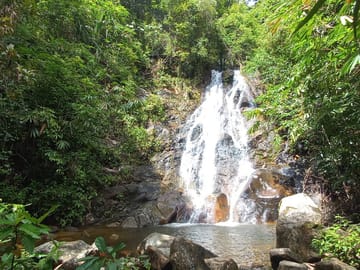 Elephant Sanctuary Tour with ATV Bike and Lunch