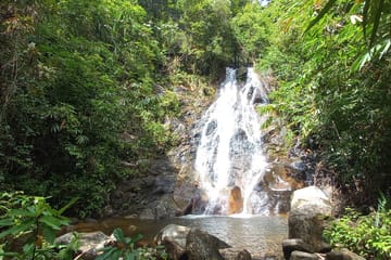 Elephant Sanctuary Tour with ATV Bike and Lunch