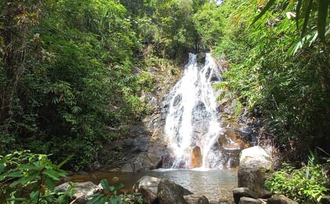 Elephant Sanctuary Tour with ATV Bike and Lunch