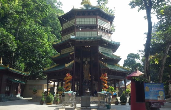 The Wonders of Thailand’s Last Lowland Rainforest