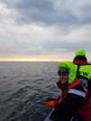 Premium Whales & Midnight Sun 5