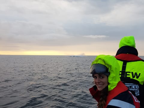 Premium Whales & Midnight Sun, photo 5