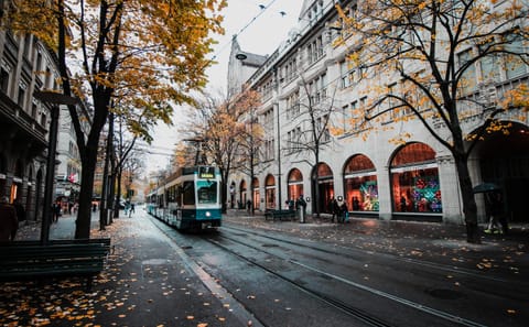 8-Day Scenic Rail Tour of Switzerland and Paris