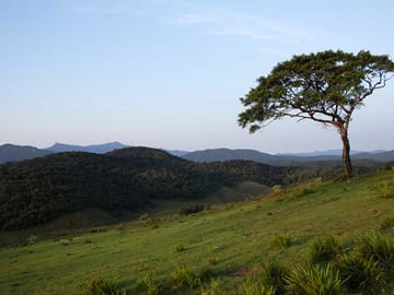 Horton Plains and Nuwara Eliya Nature Walking Tour in Kandy