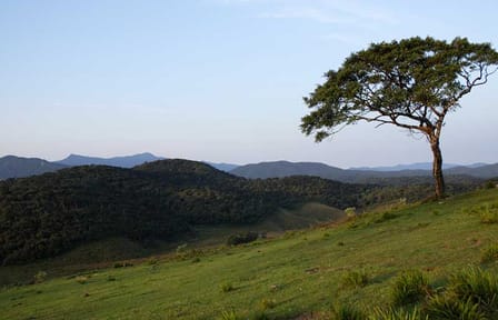 Horton Plains and Nuwara Eliya Nature Walking Tour in Kandy