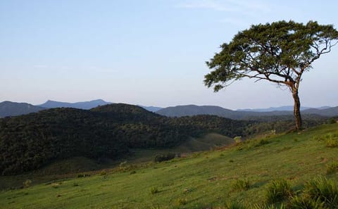 Horton Plains and Nuwara Eliya Nature Walking Tour in Kandy