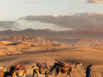 Agafay Desert Sunset Dinner and Camel Ride from Marrakech