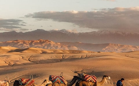 Agafay Desert Sunset Dinner and Camel Ride from Marrakech