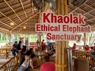 1-Hour Guided Khaolak Elephant Sanctuary Observation Tour