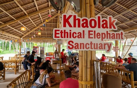 1-Hour Guided Khaolak Elephant Sanctuary Observation Tour