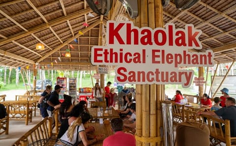 1-Hour Guided Khaolak Elephant Sanctuary Observation Tour