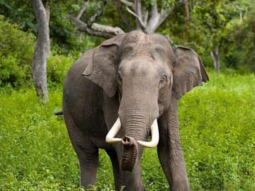 Wilpattu-Jeep-Safari-Day-Tour-From-Sigiriya-1