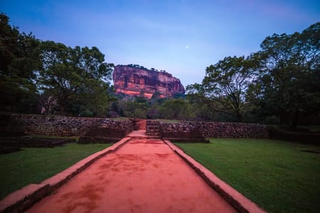 Sigiriya Rock & Jeep Safari: Thrilling Wildlife Adventure from Colombo