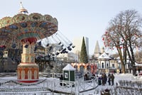 Copenhagen Private Guided tour by Car with Tailorable Itinerary 9