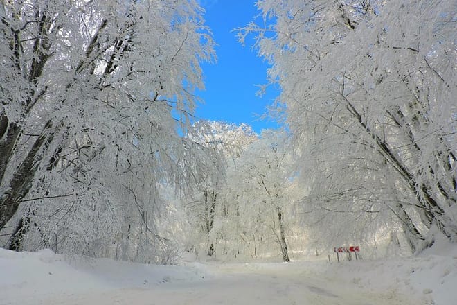 Winter Fun for Families: Sabaduri, Ananuri, Gudauri Adventure 9