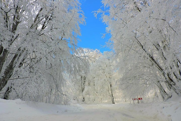 Winter Fun for Families: Sabaduri, Ananuri, Gudauri Adventure 9