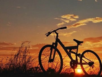 "Luxor's East Bank: Ancient Wonders by Bike (3-Hour Adventure)"