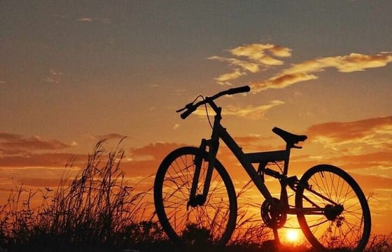 Luxor East Bank Bike Tour: Karnak & Luxor Temples