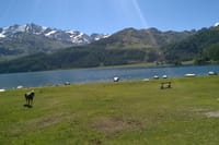 Bernina Train and St Moritz 1 day Private Tour with pick up 7