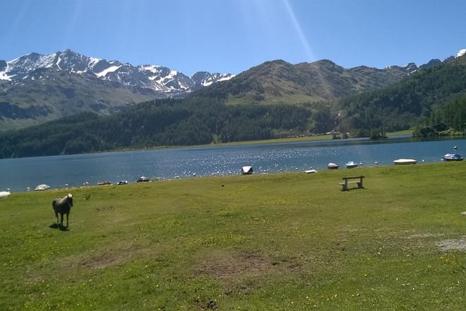 Bernina Train and St Moritz 1 day Private Tour with pick up 7