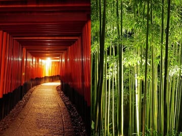 Kyoto Fushimi-Inari and Arashiyama Night Walking Tour