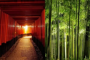 Kyoto Fushimi-Inari and Arashiyama Night Walking Tour
