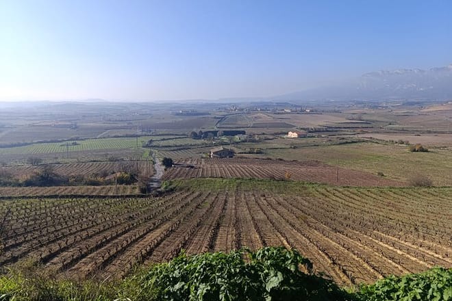Rioja Day Tour: Explore Three Wineries with Tastings - Photo 5