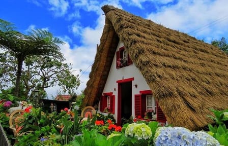 Full-Day 4x4 Tour of Culinary Delights in Madeira