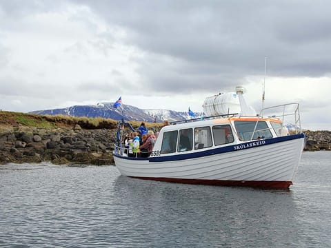 Golden Circle & Puffin Tour, photo 2