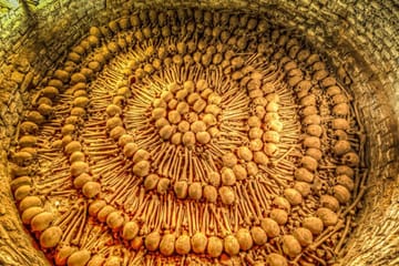 Lima Colonial and Modern Circuit Bus Tour in Lima, Peru