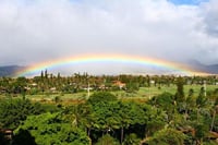 Lahaina Self-Guided Audio Tour 1